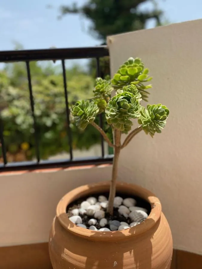 Apartamento Las Palmeras 3, Nerja
